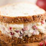 Pomegranate-Apple-Chicken-Salad